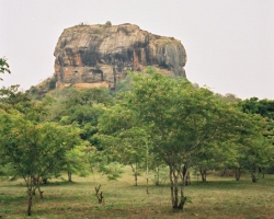  2003 Indien - Sri Lanka &raquo; Dambula_Sigiriya