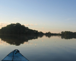2008 Brasilien &raquo; Amazonas