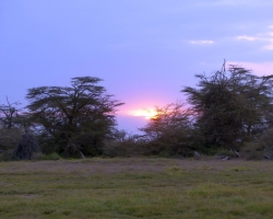 2016 - Kenia - Madagaskar &raquo; Amboseli NP &raquo; Amboseli