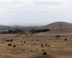2016 - Kenia - Madagaskar &raquo; Amboseli NP &raquo; Amboseli
