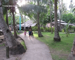 2011 Philippinen - Peking &raquo; Apo Island - Siquijor