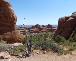 2017 Südwest USA &raquo; Arches NP