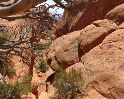 2017 Südwest USA &raquo; Arches NP