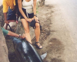 2000 Indonesien &raquo; Bali
