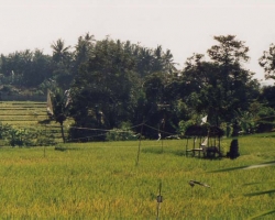 2000 Indonesien &raquo; Bali