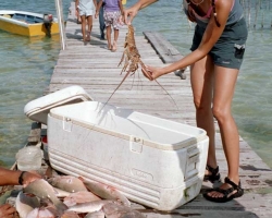 2002 Mexiko - Guatemala - Belize &raquo; Belize