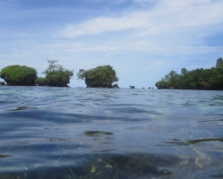 Boccas Red Frog Beach