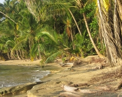 2010 New York - Panama - Costa Rica - Nicaragua &raquo; Boccas_Mancanillo