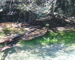 2008 Brasilien &raquo; Bonito