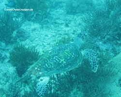 2011 Philippinen - Peking &raquo; Boracay