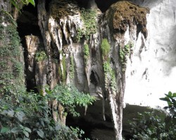 2012 Borneo - Brunei &raquo; Niah Caves - Brunei - Sabah 1. Teil