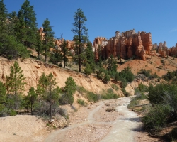 2017 Südwest USA &raquo; Bryce Canyon