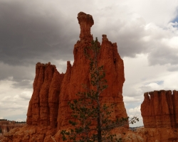 2017 Südwest USA &raquo; Bryce Canyon