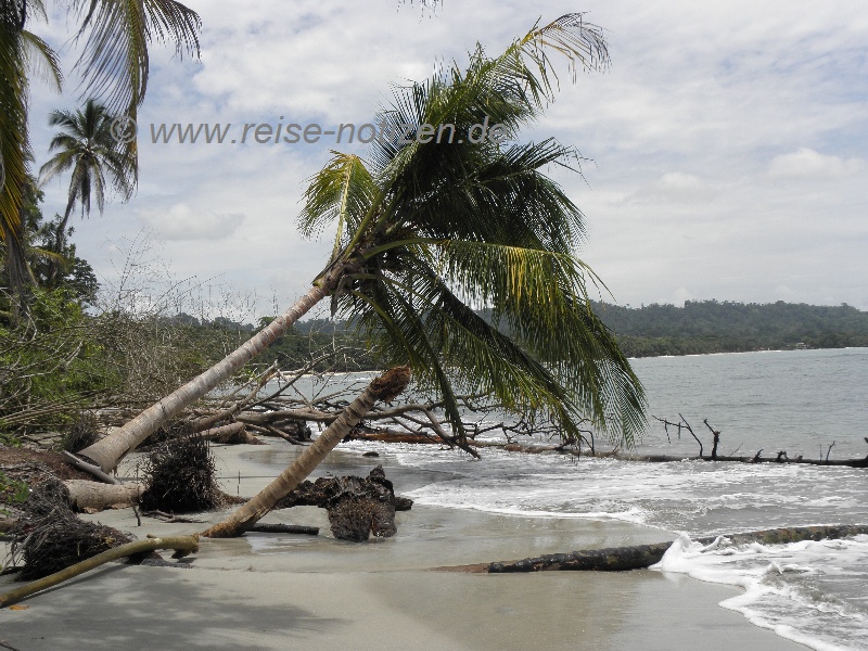 Strand bei Cahuita