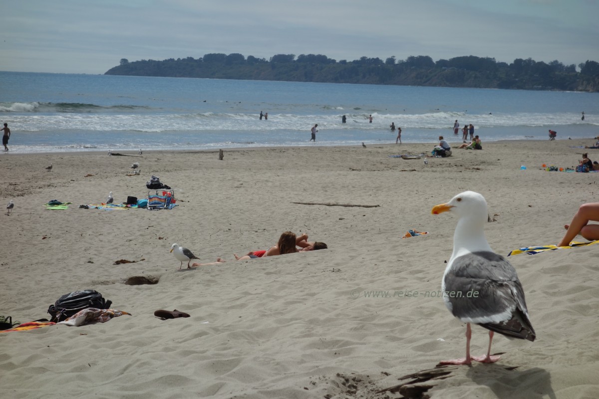 Strand nördlich von San Franzisko