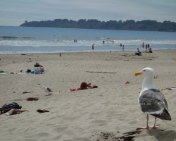 2017 Südwest USA &raquo; California mix