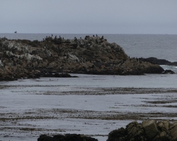 2017 Südwest USA &raquo; California mix