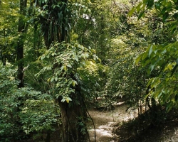 2002 Mexiko - Guatemala - Belize &raquo; Campeche_Palenque