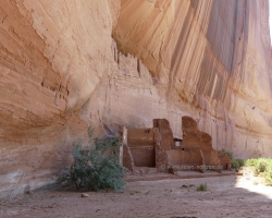 2017 Südwest USA &raquo; Canyon de Celly