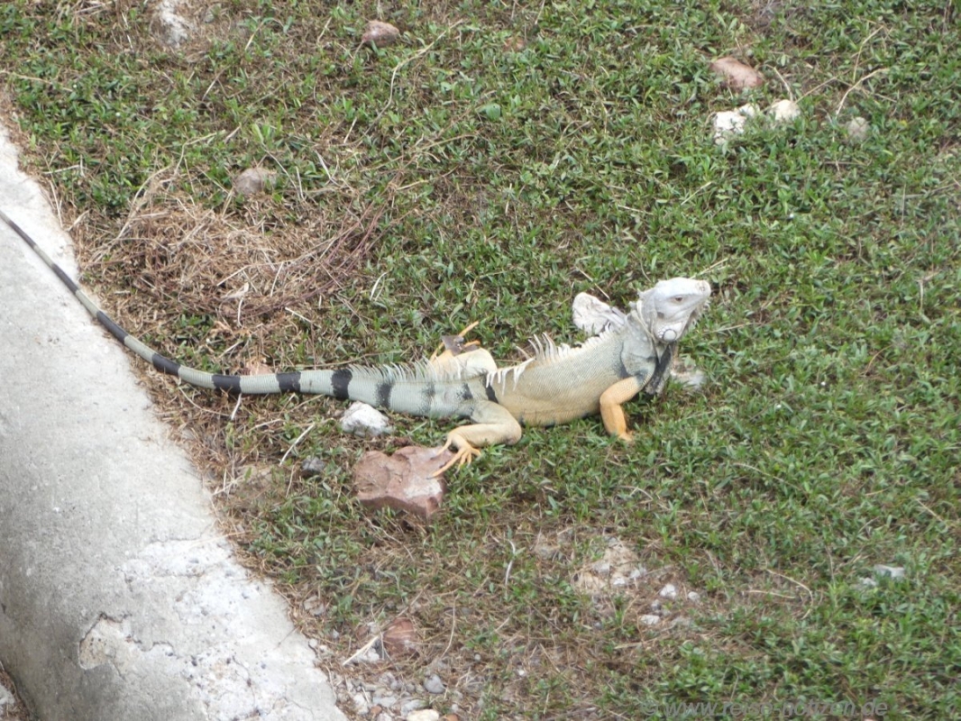 2015 Kolumbien: Cartagena