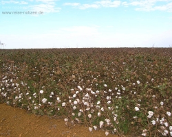 2008 Brasilien &raquo; Chapada_d_Guimaraes