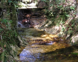 2008 Brasilien &raquo; Chapada_d_Guimaraes
