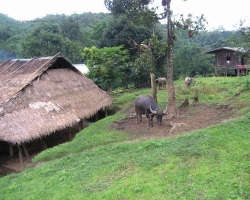 2004 Thailand &raquo; Chiang_Mai-Trecking