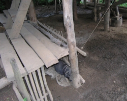 2004 Thailand &raquo; Chiang_Mai-Trecking
