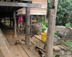 2004 Thailand &raquo; Chiang_Mai-Trecking