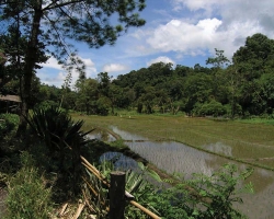 2004 Thailand &raquo; Chiang_Mai