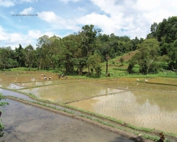 2004 Thailand &raquo; Chiang_Mai