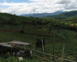2004 Thailand &raquo; Chiang_Mai