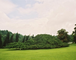  2003 Indien - Sri Lanka &raquo; Colombo_Kandy