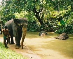  2003 Indien - Sri Lanka &raquo; Colombo_Kandy