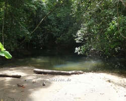 2015 USA Mittelmerkika Karibik &raquo; 2015 Costa Rica Corcovado NP Drake Bay