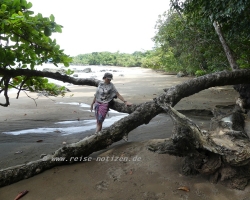 Nice Beach at Drake Bay