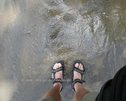 2015 USA Mittelmerkika Karibik &raquo; 2015 Costa Rica Corcovado NP Drake Bay