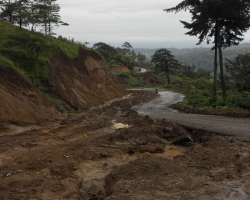2009 Costa Rica - Nicaragua &raquo; Costa_Rica_Mix