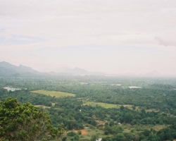  2003 Indien - Sri Lanka &raquo; Dambula_Sigiriya
