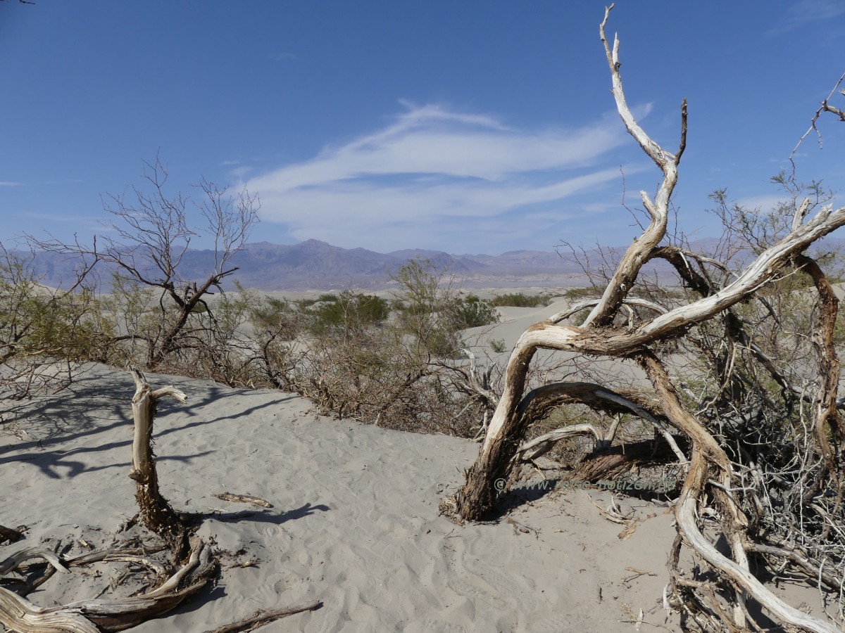 Death Valley Wüste im Death Valley