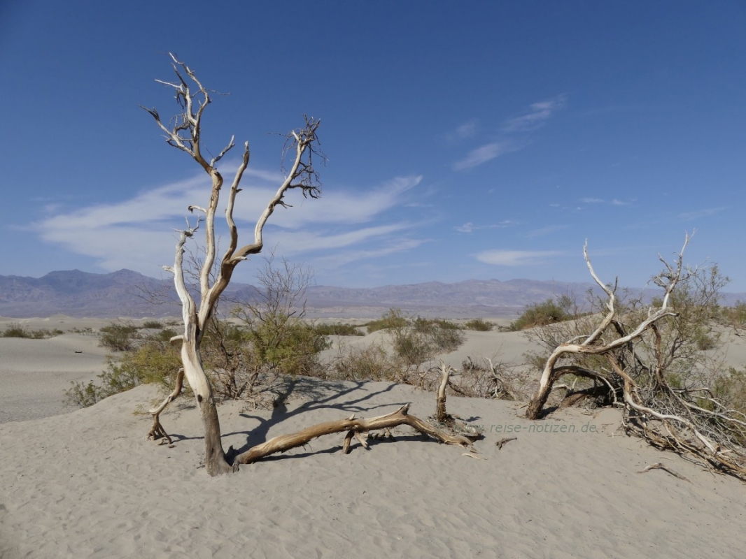Im Death Valley gibt es auch Wüstenregionen