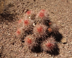 2017 Südwest USA &raquo; Death Valley