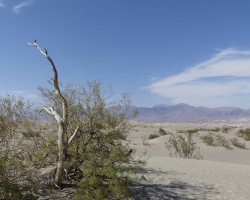 2017 Südwest USA &raquo; Death Valley