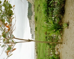 2001 Peru - Ecuador - Galapagos &raquo; Ecuador