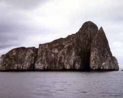 2001 Peru - Ecuador - Galapagos &raquo; Galapagos