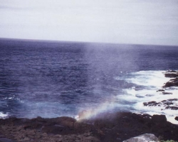 2001 Peru - Ecuador - Galapagos &raquo; Galapagos