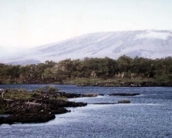 2001 Peru - Ecuador - Galapagos &raquo; Galapagos