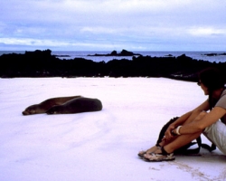 2001 Peru - Ecuador - Galapagos &raquo; Galapagos