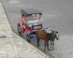 2009 Costa Rica - Nicaragua &raquo; Granada