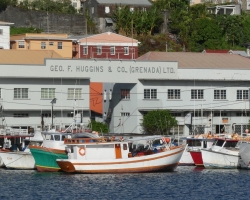 2015 USA Mittelmerkika Karibik &raquo; 2015 Grenada